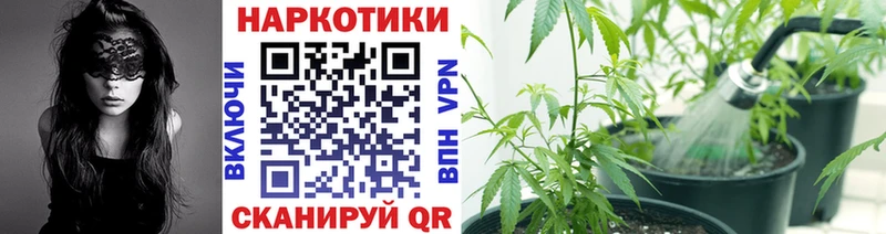  Кокаин Будённовск