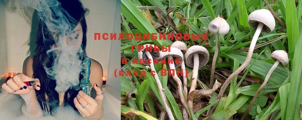 кокаин перу Белокуриха