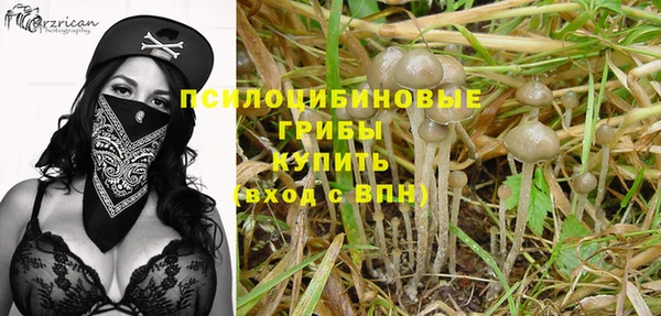дмт Беломорск