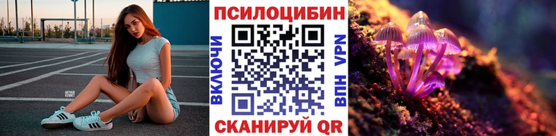 Галлюциногенные грибы Psilocybine cubensis Будённовск